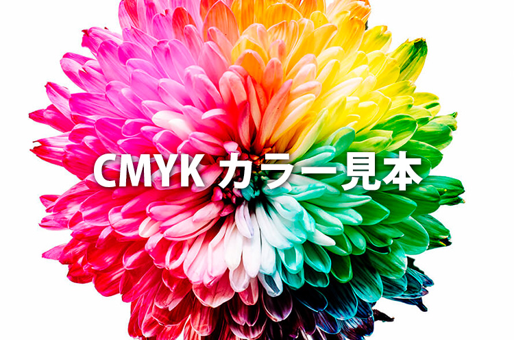 cmyk logocolor750 1