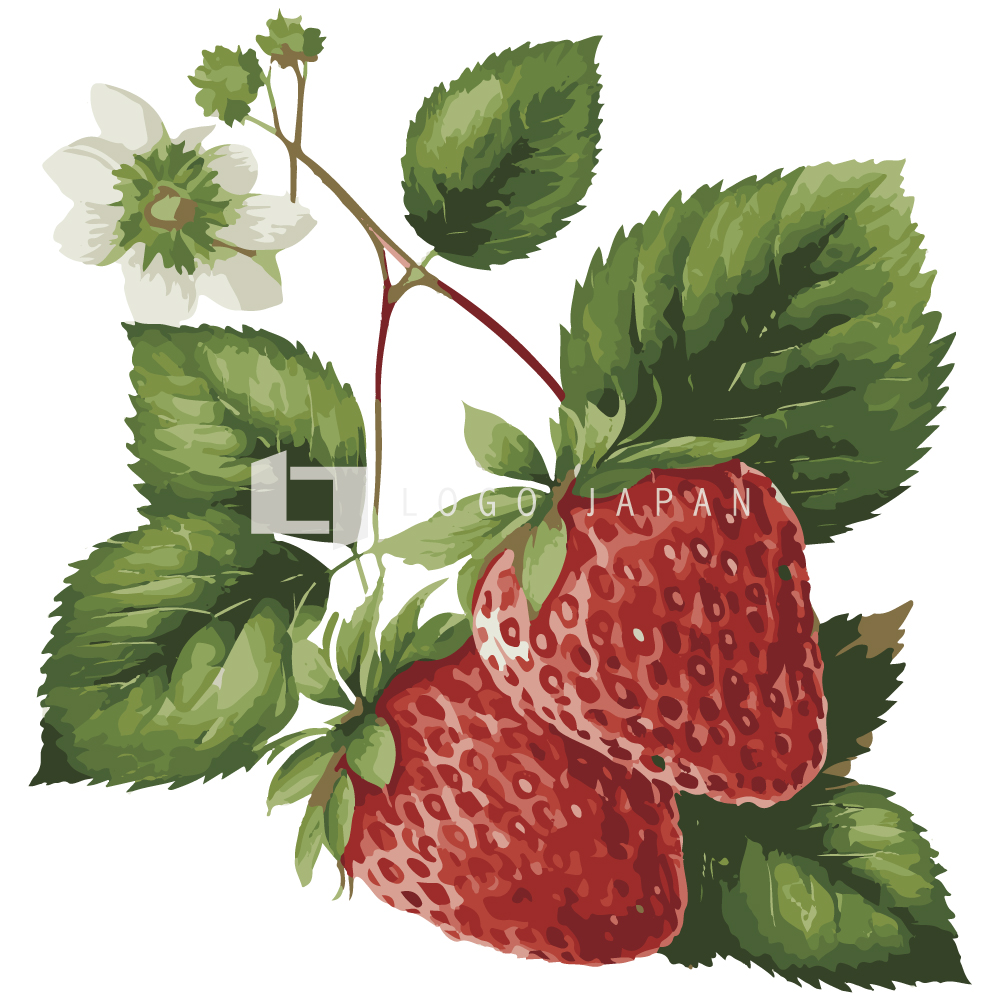 絵画のようなイチゴ アイコンマーク-strawberry02